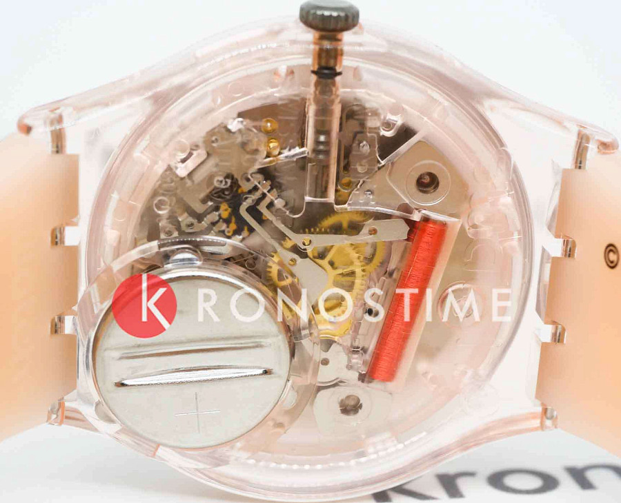 Часы Swatch Gent Biosourced Standart SO28Z700 — Швейцария, кварцевые