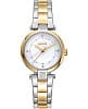 Американские наручные часы DKNY Essential Mini DK1L043M0075
