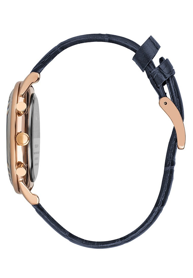 Часы Beverly Hills Polo Club BP3238X.499 — кварцевые, сталь металл