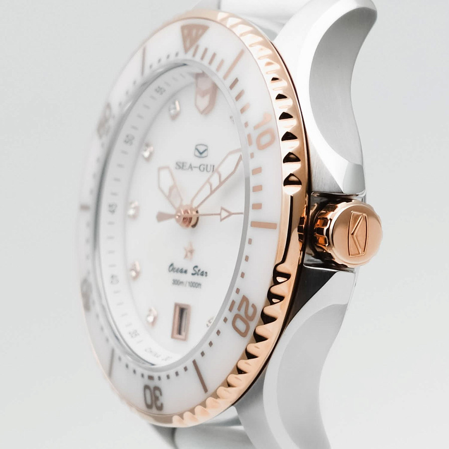Часы Seagull Ocean Star Pro 219.17.1211 — металл сталь, Китай