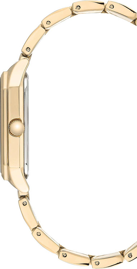 Часы Anne Klein Metals 3774BKGB — кварцевые, металл сталь