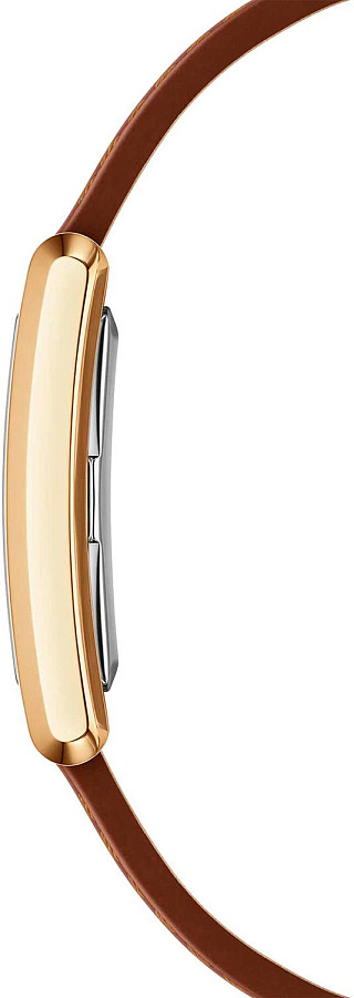 Часы Daniel Wellington Bound Durham Gold DW00100696 — сталь металл, Швеция