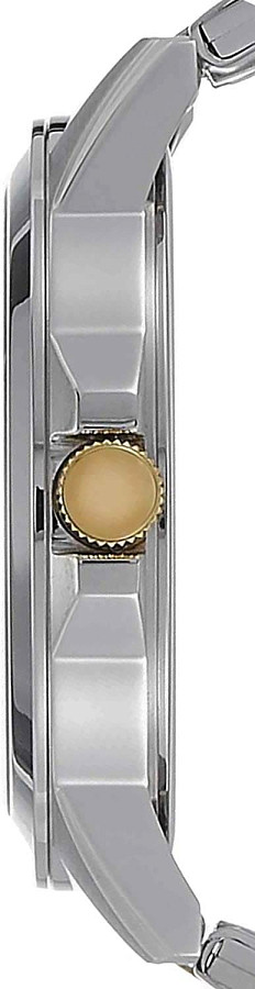 Часы Citizen Basic BF2018-52E — мужские, двухцветный