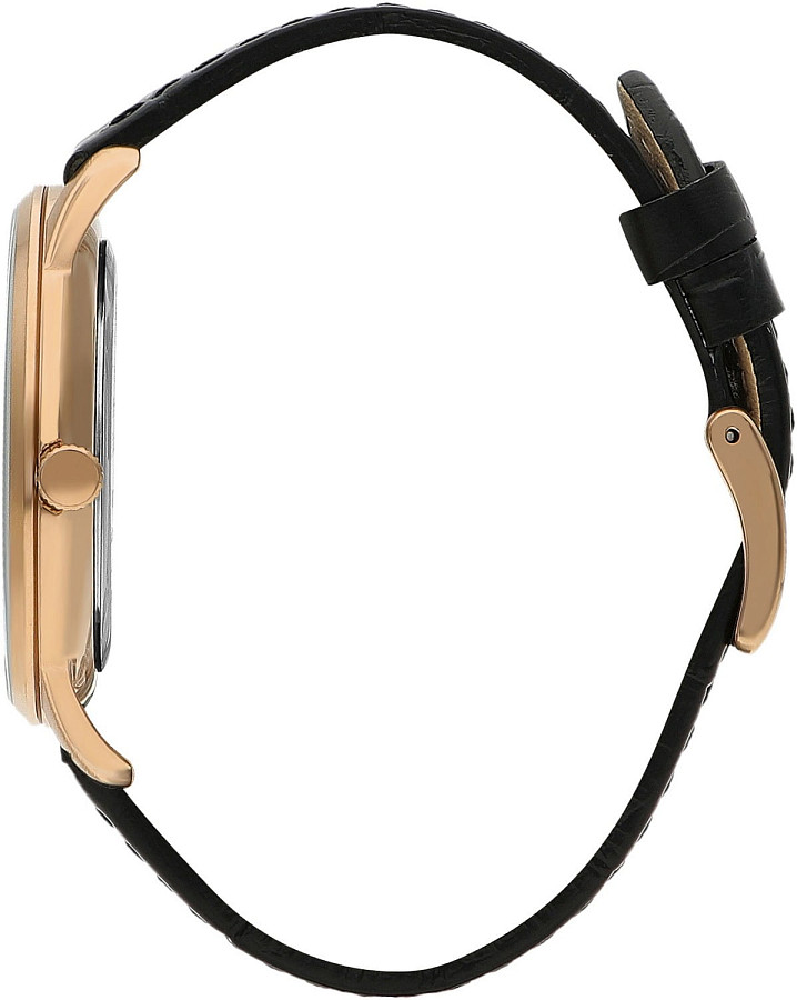 Часы Beverly Hills Polo Club BP3393X.451 — сталь металл, США