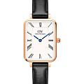 Шведские наручные часы Daniel Wellington Quadro Roman Numerals Sheffield Rose Gold DW00100689