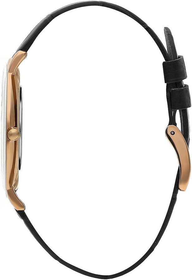 Часы Beverly Hills Polo Club BP3322X.451 — кварцевые, сталь металл