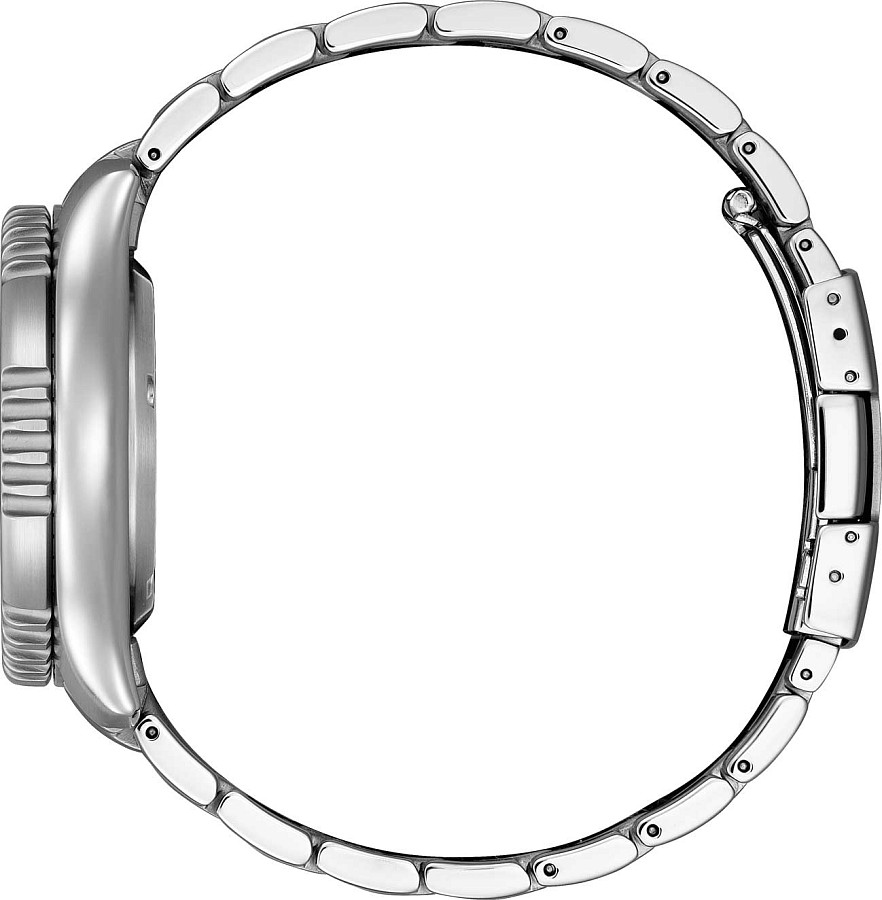 Часы Citizen Promaster NY0161-63L — металл сталь, Япония