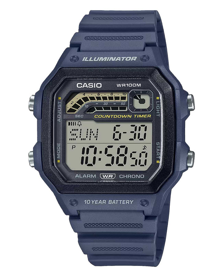 Часы Casio Collection WS-1600H-2AVDF (WS-1600H-2A) — мужские
