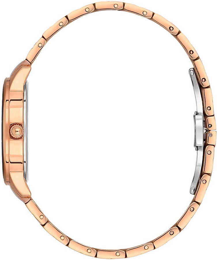 Часы Santa Barbara Polo & Racquet Club Unique SB.1.10568-5 — кварцевые, металл сталь