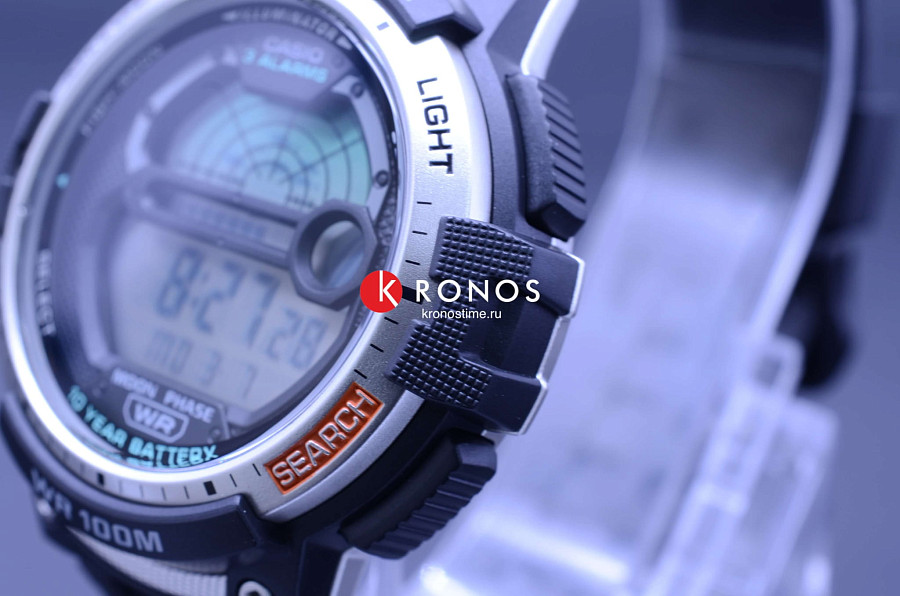 Часы Casio Collection WS-1200H-1A — пластик, мужские