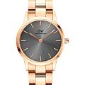 Шведские наручные часы Daniel Wellington Iconic Link Grey Rose Gold DW00100336
