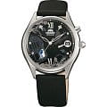 Японские часы Orient DM00002B (FDM00002B)
