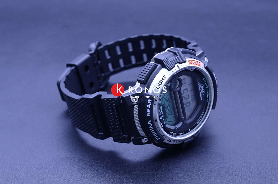 Часы Casio Collection WS-1200H-1A — мужские, пластик