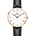 Шведские наручные часы Daniel Wellington Petite Roman Numerals Sheffield Rose Gold DW00100683