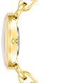 Американские наручные часы Anne Klein Metals 4092BKGB, фото 2