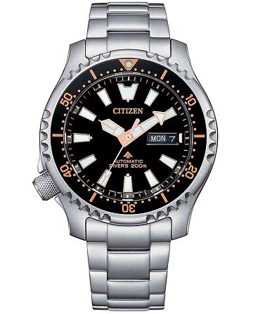 Citizen Promaster NY0160-66E