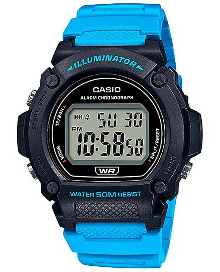 Часы Casio Collection W-219H-2A2VEF — мужские, серый