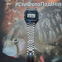 Фото покупателя: Японские часы Casio A-158WEA-1