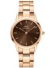 Шведские наручные часы Daniel Wellington Iconic Link Amber DW00100462