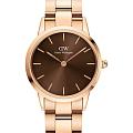 Шведские наручные часы Daniel Wellington Iconic Link Amber DW00100462