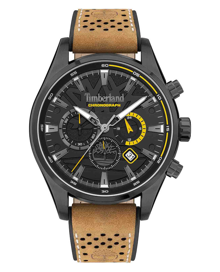 Часы Timberland Aldridge TDWGC2102401 — мужские, черный