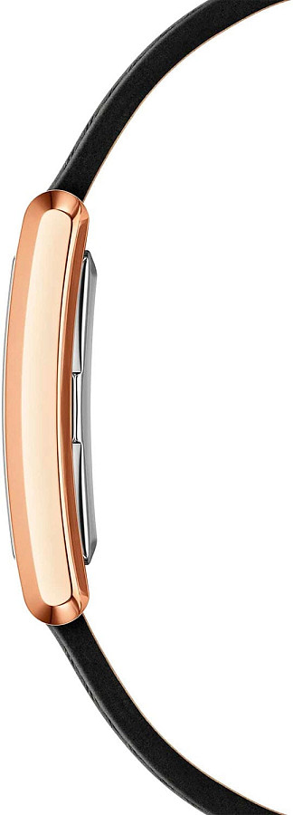 Часы Daniel Wellington Bound Black Crocodile Rose Gold DW00100698 — сталь металл, Швеция