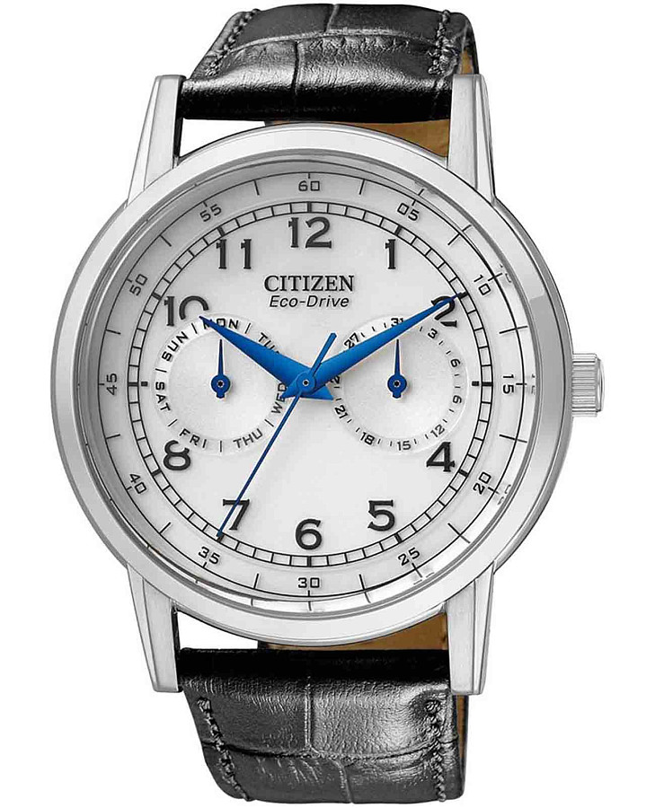 Часы Citizen Eco-Drive AO9000-06B — мужские, белый