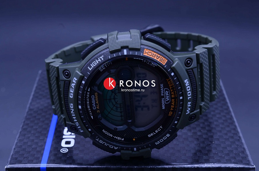 Часы Casio Collection WS-1200H-3A — кварцевые, пластик