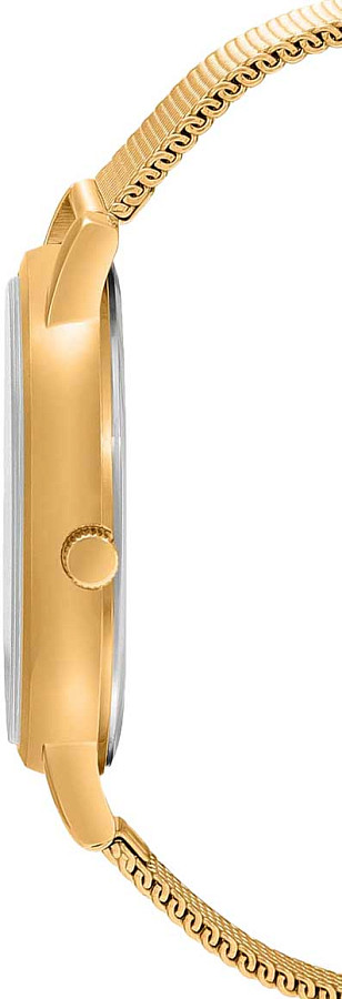 Часы Casio Collection MTP-B120MG-3AVDF (MTP-B120MG-3A) — сталь с ip покрытием, мужские