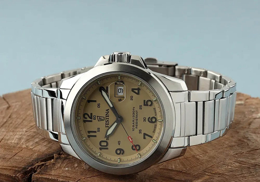 Часы Festina Swiss Made F20081/1 — кварцевые, Испания, мужские