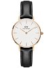 Шведские наручные часы Daniel Wellington Petite Sheffield DW00100230