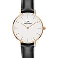 Шведские наручные часы Daniel Wellington Petite Sheffield DW00100230
