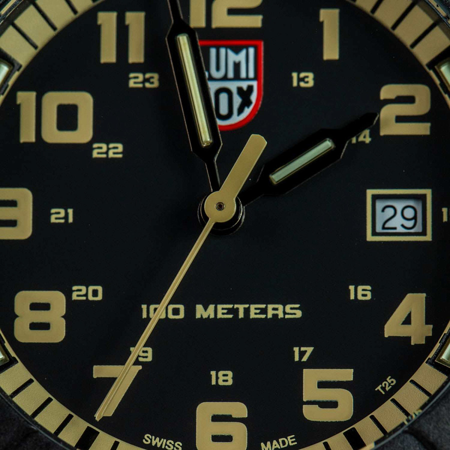 Часы Luminox Leatherback Sea Turtle XS.0333 — пластик карбон, Швейцария