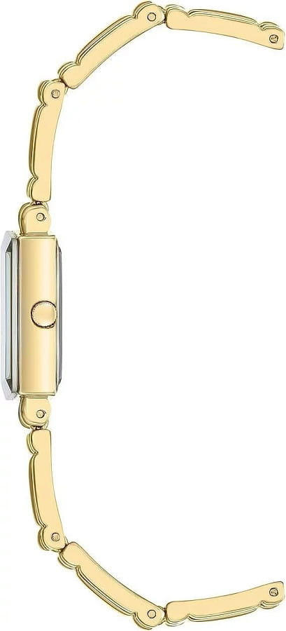 Часы Anne Klein Metals 4898CHGP — кварцевые, металл сталь