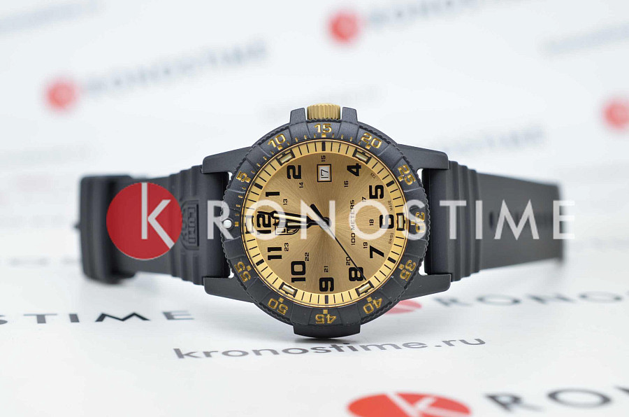 Часы Luminox Leatherback SEA Turtle Giant XS.0325.GP — карбон, Швейцария