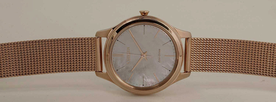 Часы Citizen Eco-Drive EM0508-80Y — нержавеющая сталь с ip-покрытием, женские
