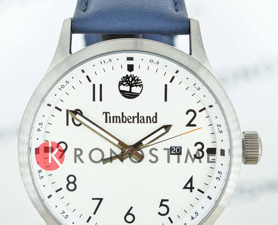 Часы Timberland Trumbull TDWGB0010102 — сталь металл, США