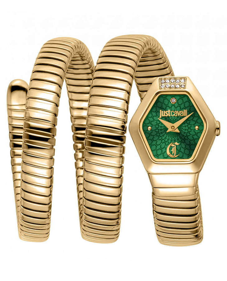 Часы Just Cavalli Romina JC1L395M0035 — женские, зеленый