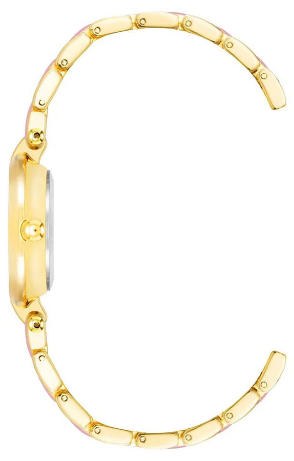 Часы Anne Klein Metals 3918LVGB — металл сталь, США