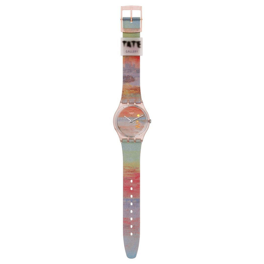 Часы Swatch Gent Biosourced Standart SO28Z700 — цветной, пластик