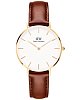 Шведские часы Daniel Wellington Petite St Mawes DW00100550