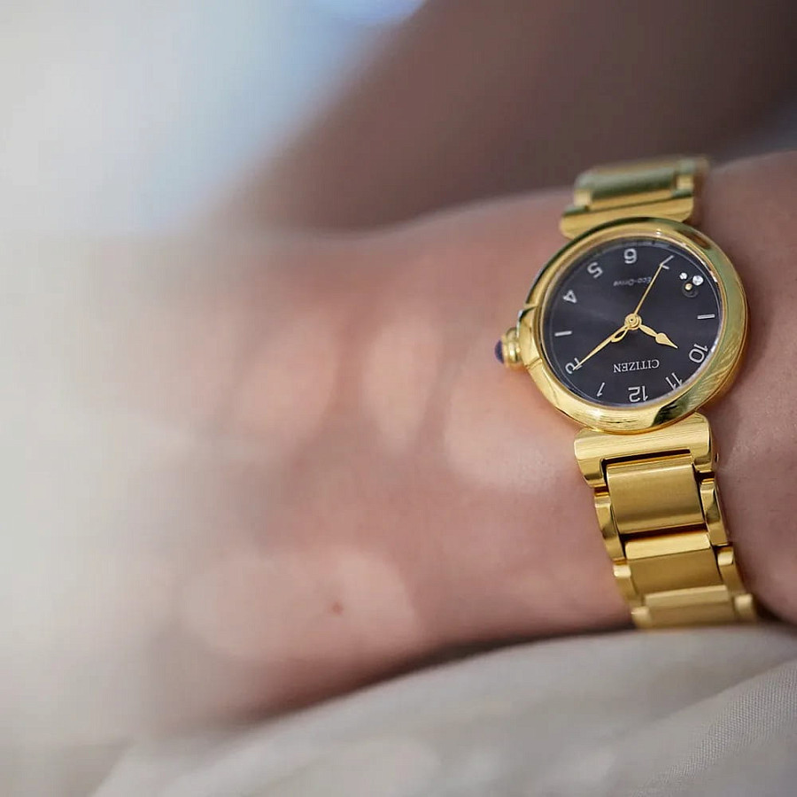 Часы Citizen Citizen L EM1132-88H — сталь металл, Япония