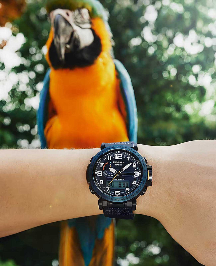 Часы Casio Pro Trek PRG-601YB-2DR (PRG-601YB-2) — кварцевые, пластик сталь металл