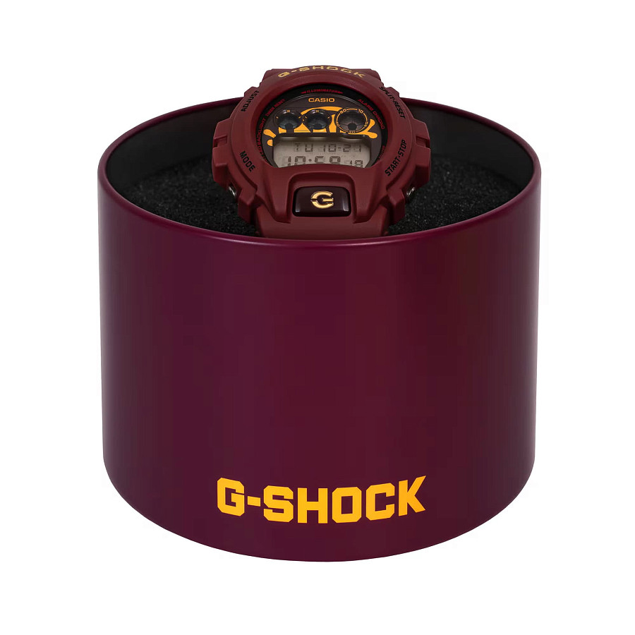 Часы Casio G-Shock DW-6900CC25-4 — пластик, Япония