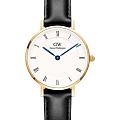 Шведские наручные часы Daniel Wellington Petite Roman Numerals Sheffield Gold DW00100686