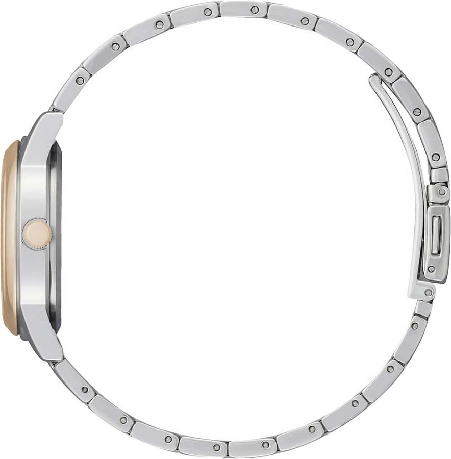 Часы Citizen Eco-Drive FE1226-82A — нержавеющая сталь с pvd-покрытием, женские