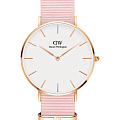 Шведские часы Daniel Wellington Petite Dover DW00100512