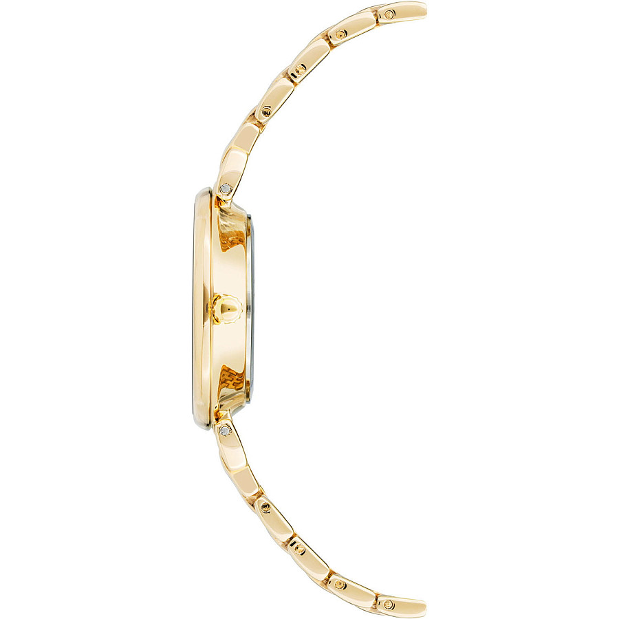 Часы Anne Klein 3872CHGB — металл сталь, США
