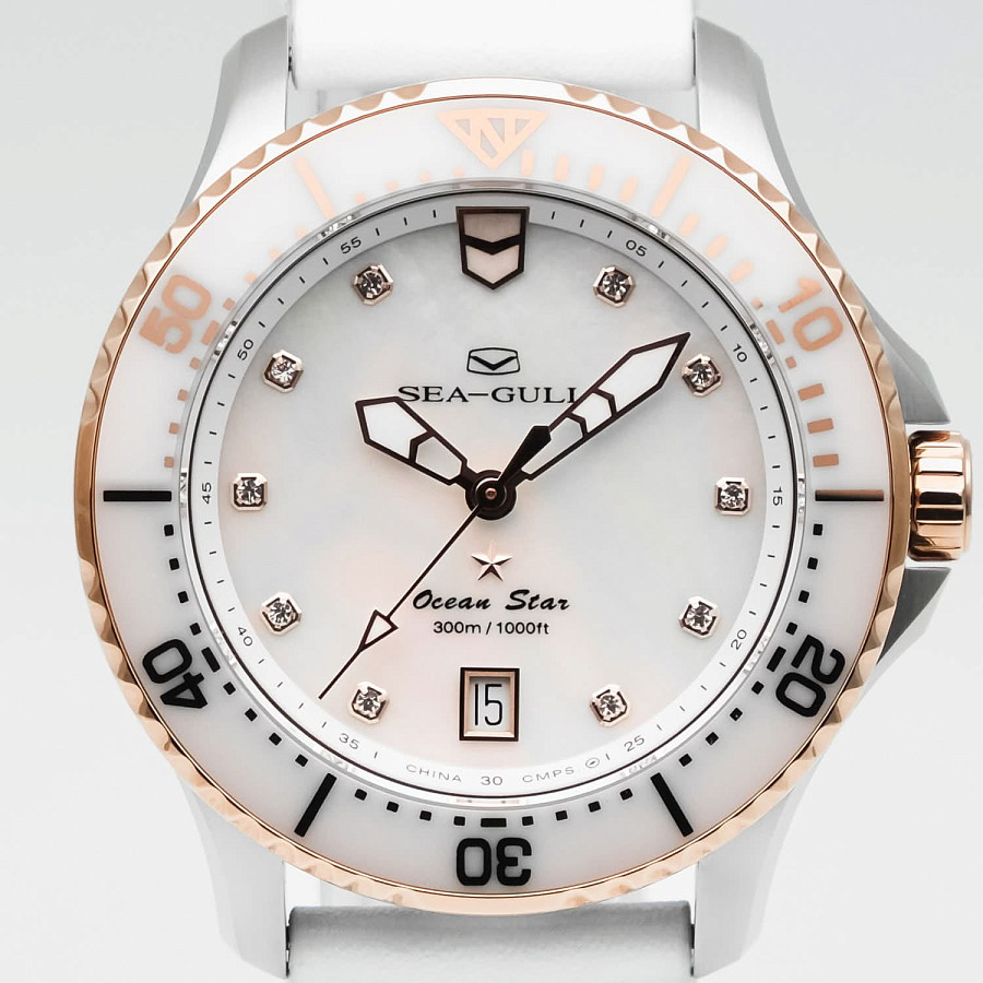 Часы Seagull Ocean Star Pro 219.17.1211 — механические, металл сталь