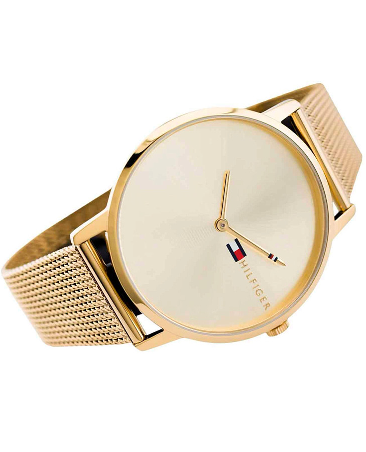 Часы Tommy Hilfiger Sport 1781972 — США, кварцевые